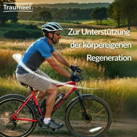 Traumeel S Creme 50 g