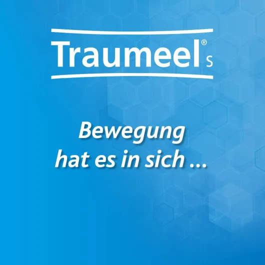 Traumeel S Creme 850 G