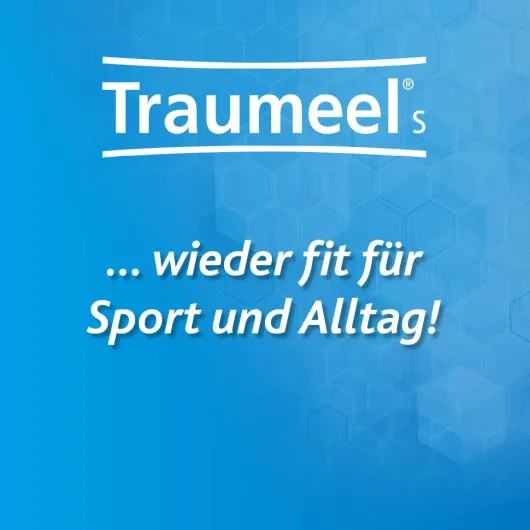 Traumeel S Creme 850 G