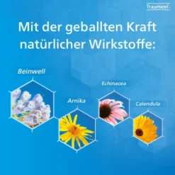 Traumeel S Creme 850 G