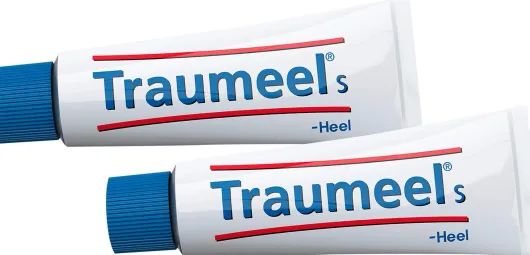 Traumeel S Creme 2 x 100g