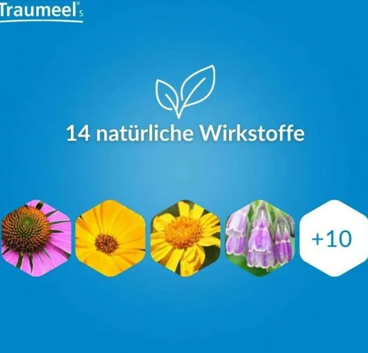 Traumeel S Tropfen 100ml