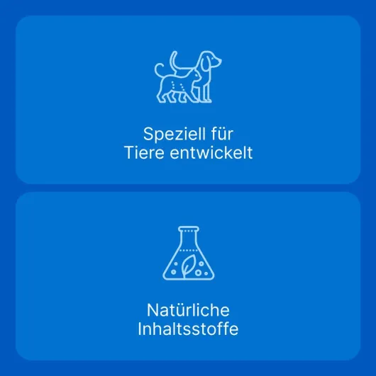Traumeel T Vet. 100 Tabletten