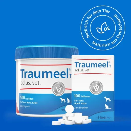Traumeel T Vet. 100 Tabletten