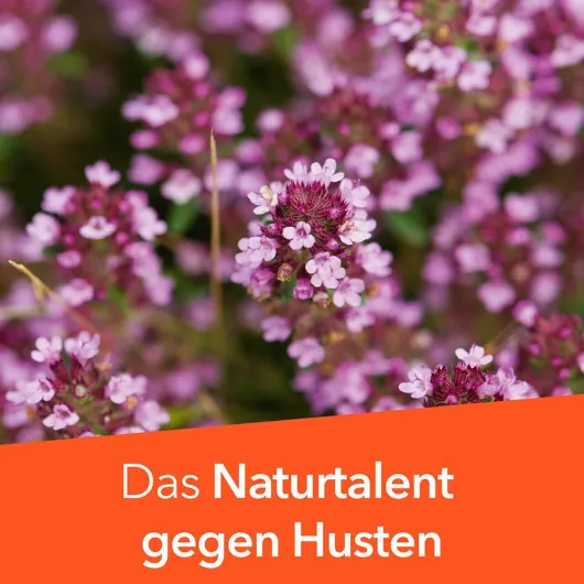Tussamag Hustensaft N 175 g Saft zuckerfrei