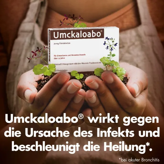 Umckaloabo 20 mg 60 Filmtabletten