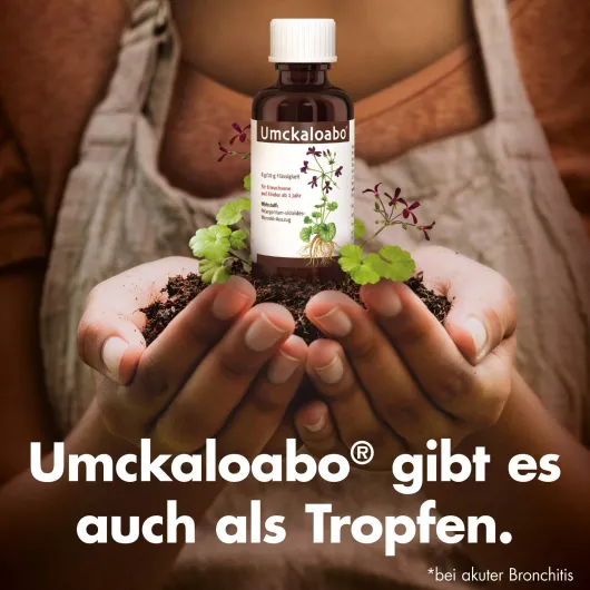 Umckaloabo 20 mg 60 Filmtabletten