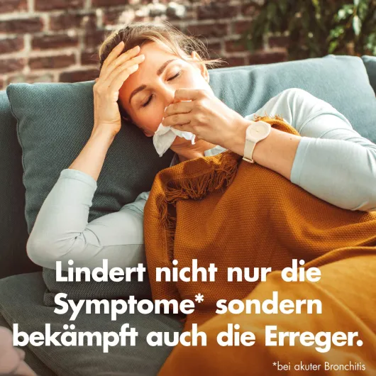 Umckaloabo Tropfen 100 ml