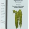 Usneabasan Urtinktur 100 ml Tropfen