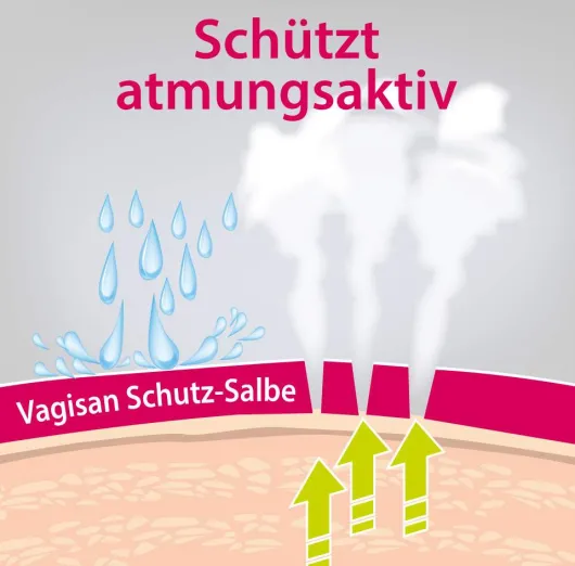 Vagisan Schutz Salbe 75 ml