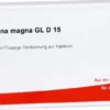 Vena Saphena Magna Gl D 15 Ampullen