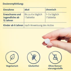 Vertigo Hevert SL 260 Tabletten