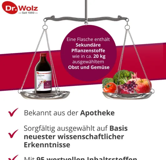 Vitalkomplex Dr.Wolz 500 ml Flasche