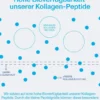 Vital Proteins Collagen Peptides Neutral Pulver 567 G