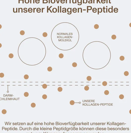 Vital Proteins Collagen Peptides Kakao 297 G