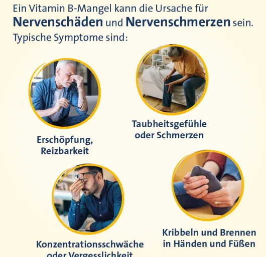 Vitamin B Komplex forte Hevert 100 Tabletten