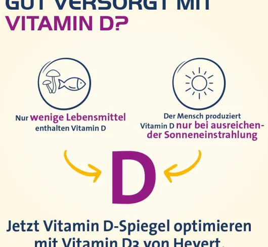 Vitamin D3 Hevert 4000 I.E. 100 Tabletten