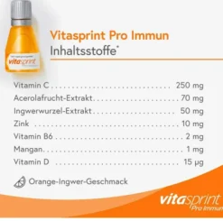 Vitasprint Pro Immun 2 x 24 Fläschchen