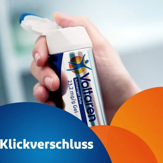 Voltaren Schmerzgel forte 100 g Gel