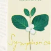 Vomistop 100 Tabletten
