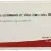 Wala Arteria Carotis Communis Et Sinus Caroticus Gl D5 10 X 1...