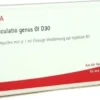 Wala Articulatio Genus Gl D30 10 X 1 ml Ampullen