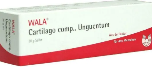 Wala Cartilago Comp. 30 G Salbe