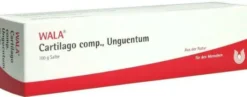 Wala Cartilago Comp. Unguentum 100 G Salbe