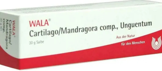 Wala Cartilago Mandragora Comp. 30 G Salbe