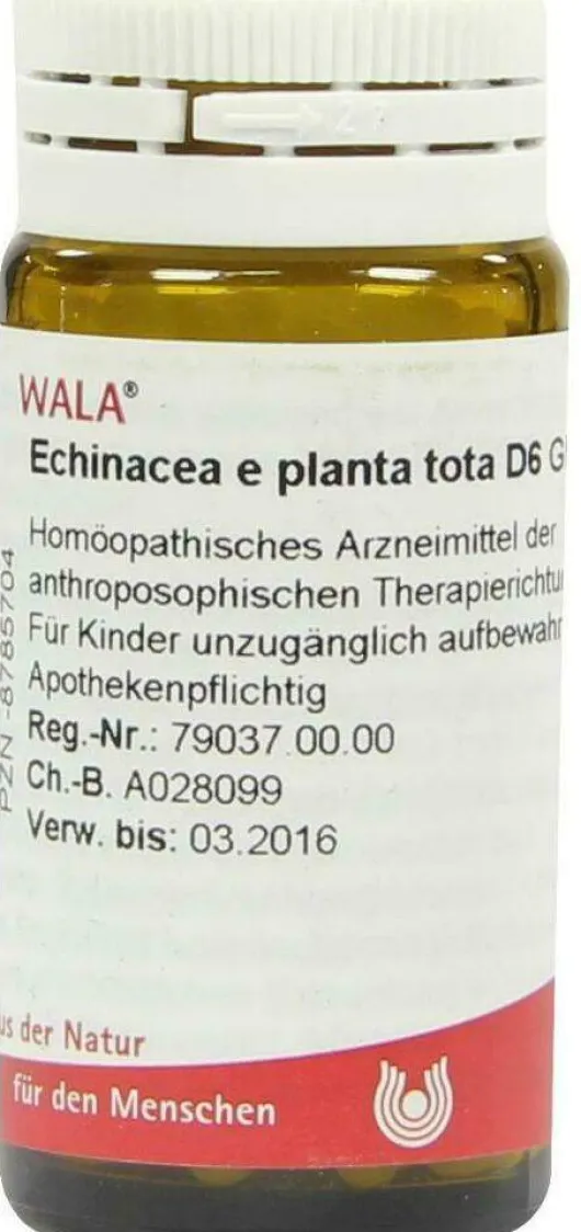 Wala Echinacea E Planta Tota D6 20 G Globuli