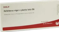 Wala Helleborus Niger E Planta Tota D6 10 X 1 ml Ampullen