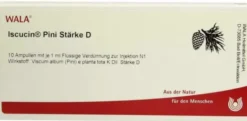 Wala Iscucin Pini Stärke D10 X 1 ml Ampullen