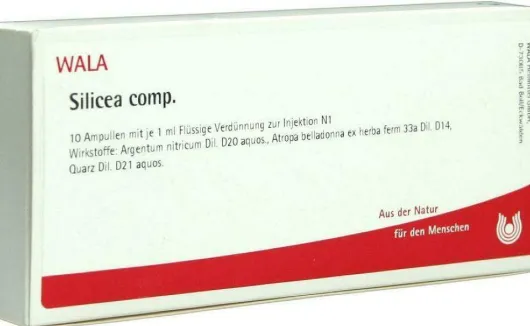 Wala Silicea Comp. 10 X 1 ml Ampullen