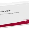 Wala Vesica Urinaria Gl D5 10 X 1 ml Ampullen