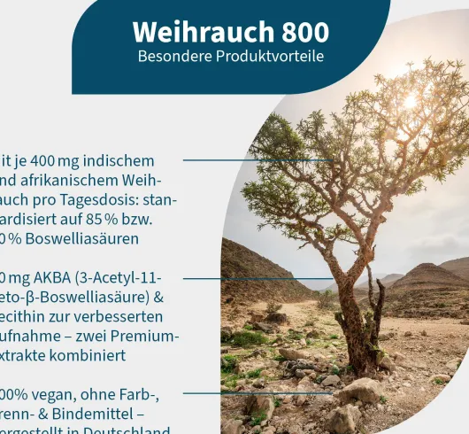 Weihrauch 800 - indischer & afrikanischer Weihrauch 120 Kapseln