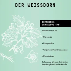 Weissdorn Extrakt Kräuter Tropfen alkoholfrei 100 ml