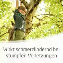 Weleda Arnika 30 % 25 G Salbe