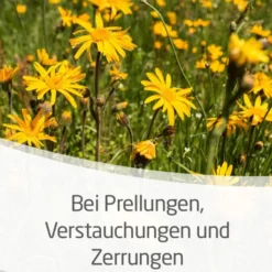 Weleda Arnika-Salbe 30% 70g Salbe