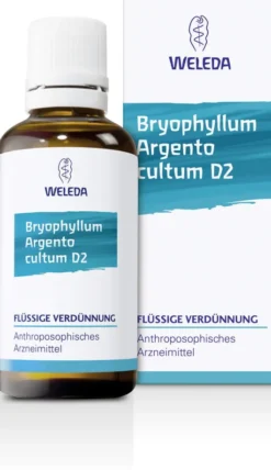 Weleda Bryophyllum Argento Cultum D2 50 ml Dilution