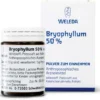 Weleda Bryophyllum 50% 50 G Pulver
