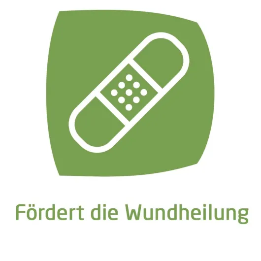 Weleda Calendula Wundsalbe 25 G