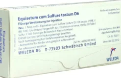 Weleda Equisetum Cum Sulfure Tostum D6 8 X 1 ml Ampullen