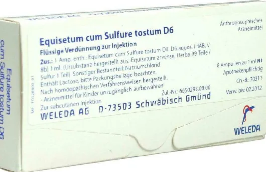 Weleda Equisetum Cum Sulfure Tostum D6 8 X 1 ml Ampullen
