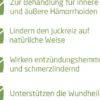 Weleda Hämorrhoidal Zäpfchen 50 Stück