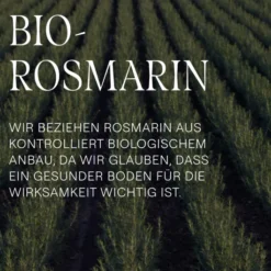 Weleda Vitalisierendes Rosmarin Shampoo 400 ml