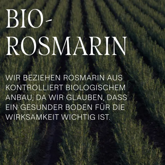 Weleda Vitalisierendes Rosmarin Shampoo 400 ml