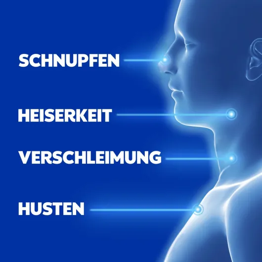WICK VapoRub Erkältungssalbe im Applikator 35 g