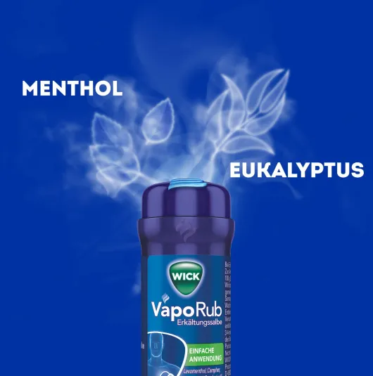 WICK VapoRub Erkältungssalbe im Applikator 35 g