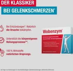 Wobenzym 100 magensaftresistente Tabletten