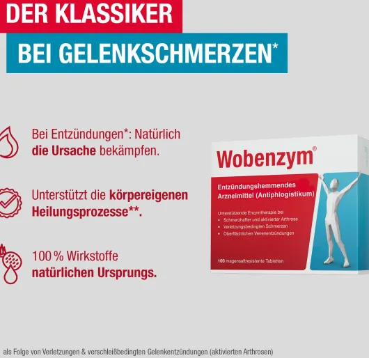 Wobenzym 100 magensaftresistente Tabletten